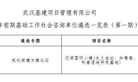 武漢基建項(xiàng)目管理有限公司關(guān)于2025年前期基礎(chǔ)...